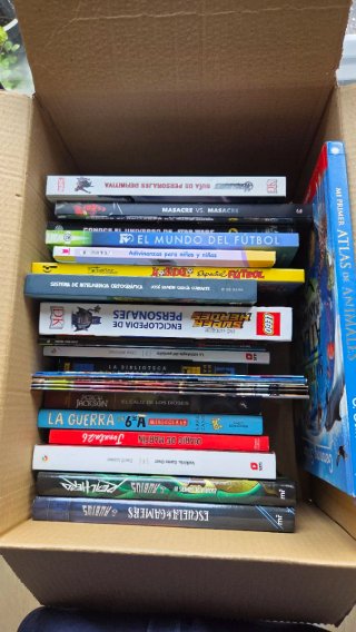 Lote 21 Libros Juveniles + 6 Cómics