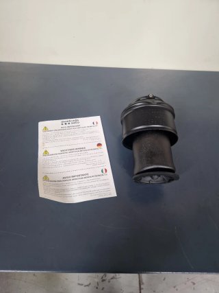 Balón Suspensión Trasera Citroen C4 Picasso