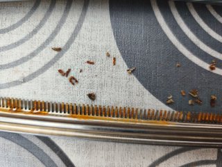 Fotos para el vendedor