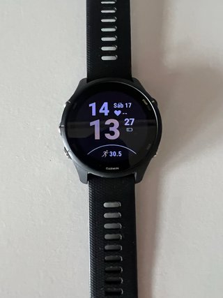 Garmin 255 music