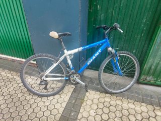 Bicicleta de Montaña Giant Azul y Blanca