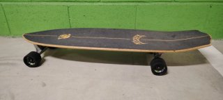 Skate Carver Lost The Rocket