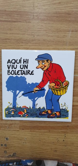 Azulejo decorativo Aquí hi viu un boletaire