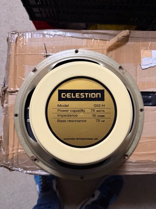 Altavoz Celestion G12H-75 Creamback 16 Ohm