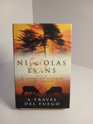 A través del fuego