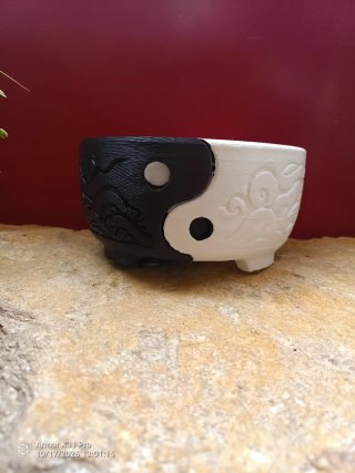 Maceta para Bonsái Diseño Yin Yang