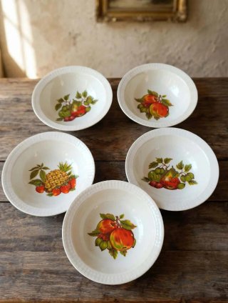 Set de 5 Cuencos Vintage Pontesa