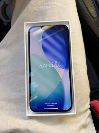 iPhone 13 Pro Max 256GB