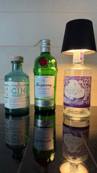 Set di 3 bottiglie di Gin
