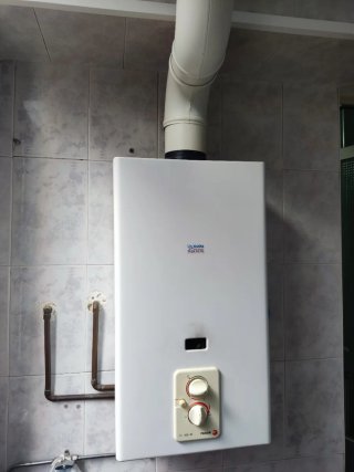 Calentador a gas Fagor