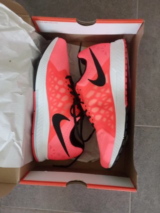 Zapatillas Nike Zoom Pegasus 31 T.44
