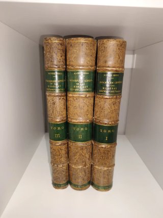 Descripción General de las Monedas Hispano-Cristia