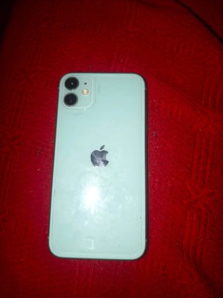 iPhone 11 Verde con varie custodie e cavo originale
