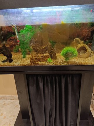 Acuario 90 Litros con Mueble