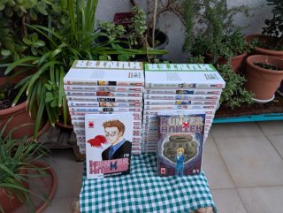 Manga Hunter x Hunter 1 al 37