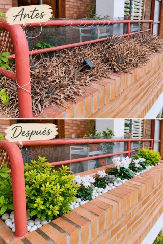 MANTENIMIENTO/RENOVACIÓN DE JARDINERAS Y MACETAS