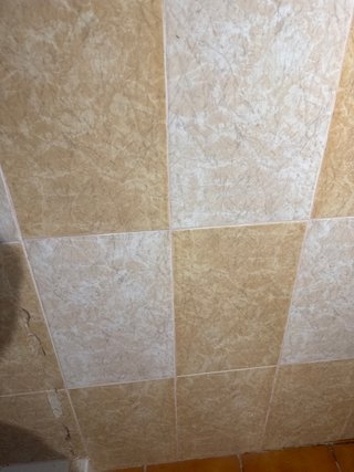 Azulejos para baño o cocina