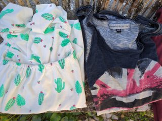 Lote 2 Camisetas Bershka Talla XS Cactus y Bandera