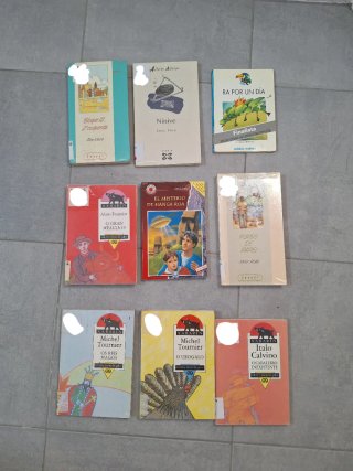 Lote libros en gallego y español