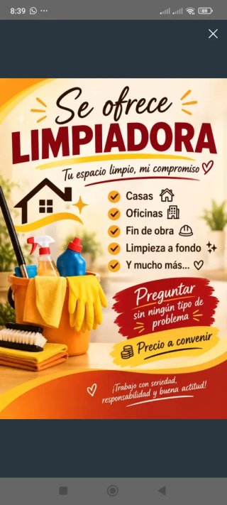 Limpieza x horas