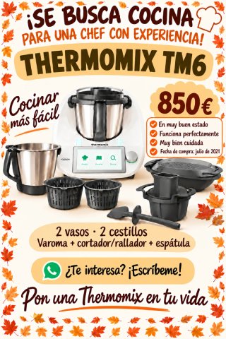 Thermomix TM6 con accesorios