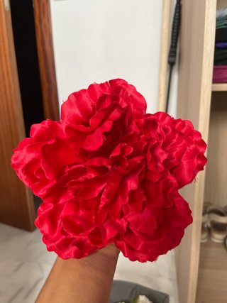 Flor de Flamenca Roja