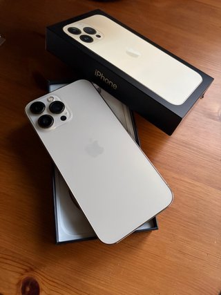 iPhone 13 Pro Max