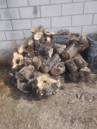 Leña de olivo para chimenea