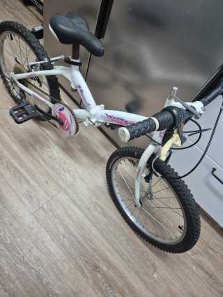 Bicicleta pieghevole 20 pollici bianca