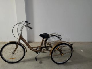 Bicicleta de 3 Ruedas con Cesta