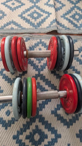 Set de 2 Mancuernas Ajustables
