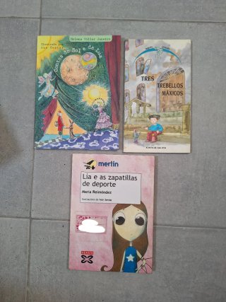 Lote 3 libros en gallego