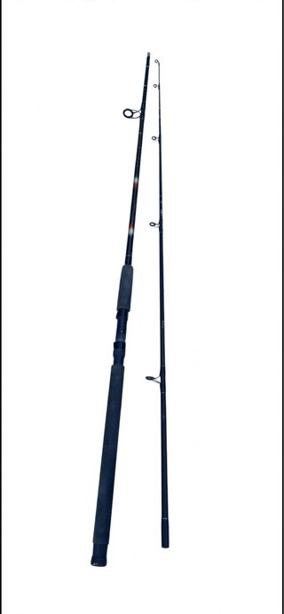 Caña Kali Kunnan P-15 - 2 Tramos - Spinning / Surf