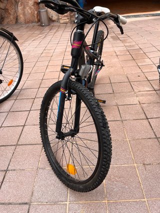 Bicicleta Orbea MX 24 Dirt