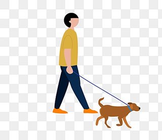 Paseos con perros