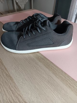 Zapatillas Saguaro Gris Talla 40