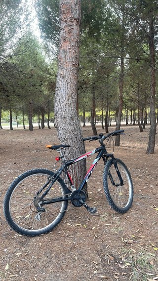 Bicicleta MTB Cups Alteam 26" + Luces
