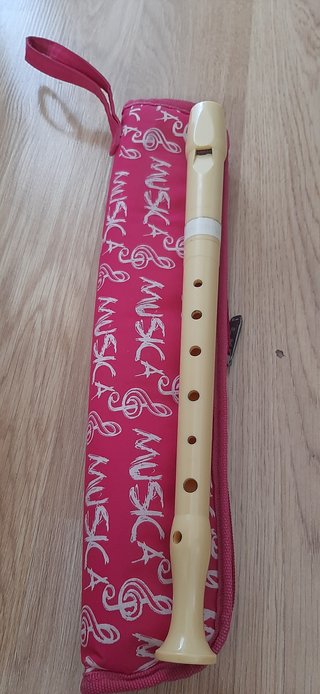 Flauta dulce con funda