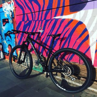 Bicicleta de Montaña con Cuadro de Carbono. 2020