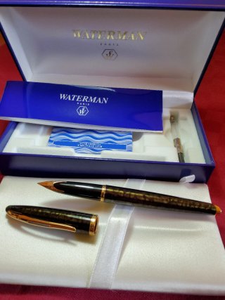 Penna stilografica Waterman Carene