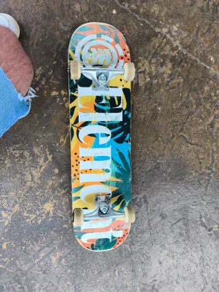 Skate Element
