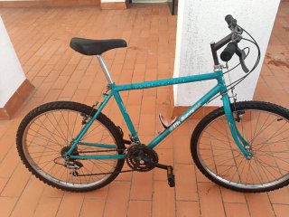 Bicicleta de Montaña  BH Sunny