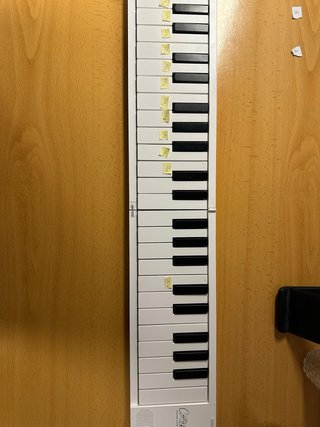 Piano plegable CARRY ON 88 teclas