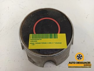 Tapacubos Nissan Terrano II (R20)(02.1993->)