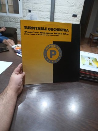 Vinilo Turntable Orchestra - You're Gonna Miss Me