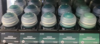Set de 5 Pinturas Green Morkshroom