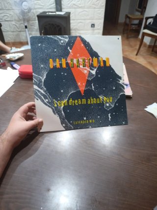 Vinilo Dan Hartman - I Can Dream About You