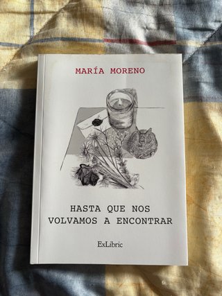 Libro hasta que nos volvamos a encontrar