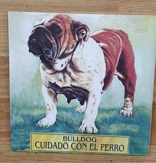 Azulejo Decorativo Bulldog 20 x 20cm.