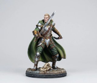 Figura Augur Guerrero Elfo D&D rol